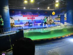 -重庆欢乐海底世界