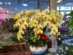 -双季花艺园艺市场(浦东店)