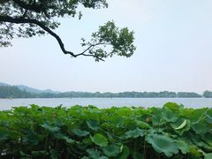 -郭庄茶室