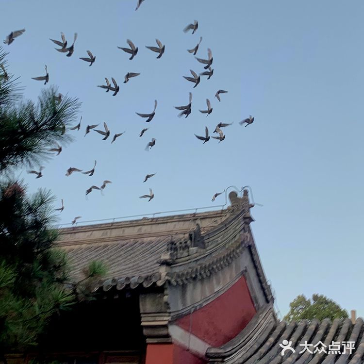 北京|私藏在市中心胡同里的绝美院