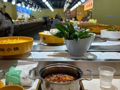 -圳小锅旋转自助小火锅(宝安中洲店)