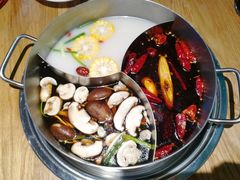 -青瓷火锅料理(西单大悦城店)