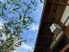 -成都蓝城悦杏温泉美食酒店(宽窄巷子店)