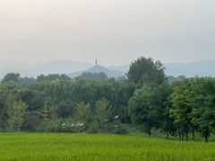 -北坞公园