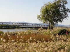 -绿堤公园