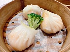 -金汇酒楼(中山东区店)