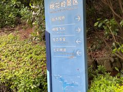 -桃花岭景区