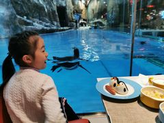 -帝企鹅自助餐厅•儿童岛•真企鹅(长隆企鹅酒店)