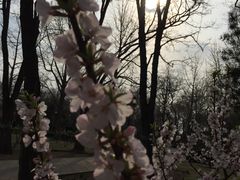-玲珑塔公园