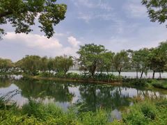 -金银湖国家城市湿地公园