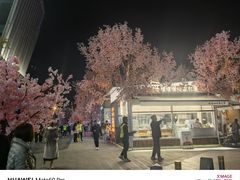 -首开·龙湖成都西宸天街