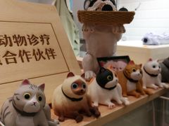 -Pets First伊珊娜洗护·精致美容·家庭式寄养(新会路店)