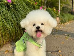 -方快-照相馆(马桥满天星广场店)