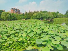-前关湿地公园