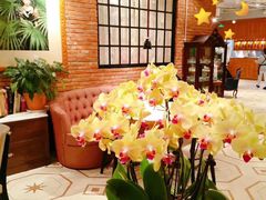 -漢舍中国菜馆(889广场店)