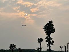 -空港花田景区