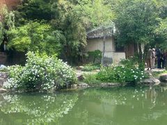 -水绘园