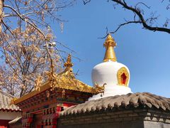 -护国法轮寺