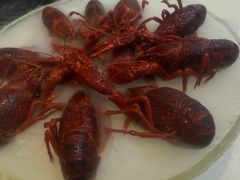 -红盔甲·小龙虾(天钥桥店)