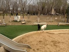 -爪吧宠物乐园 (温榆河示范区店)