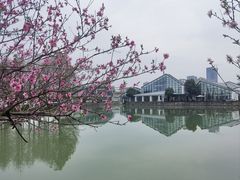 -苏州东太湖生态园