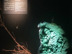 -深圳珠宝博物馆