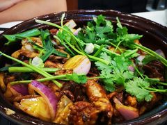 -胡须佬鸡煲四季火锅(龙珠大道店)