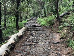 -阳台山自然风景区