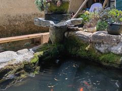 -寂照庵