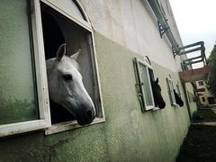 -北京长城阳光山谷马术俱乐部