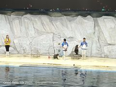 -临沂极地海洋王国