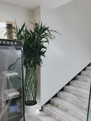 -悟空祛痘·诺奖技术专业店