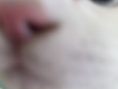 -全心全意连锁动物医院·微创中心·内科急重症·心脏专科(丰管路店)