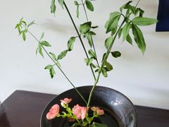 -苏州东山雕花楼宾馆