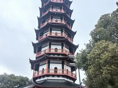 -绳金塔