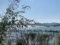 -湖畔居茶楼(湖滨店)