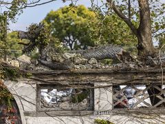 -川沙古镇-停车场