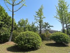 -敬亭山风景名胜区