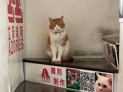 -艾泽瑞斯图文快印打印复印证件照设计名片画册(艾泽瑞斯打印复印洗照片店)