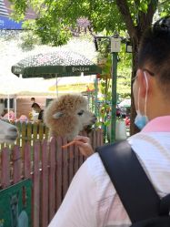 -萌宠亲子动物乐园(槐房万达店)