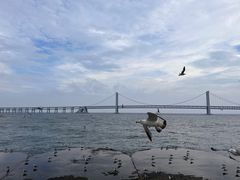 -星海广场