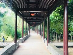 -八大山人梅湖景区