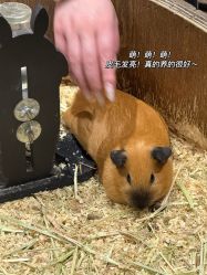 -Zoolung Zoolung动物主题公园(海信广场店)