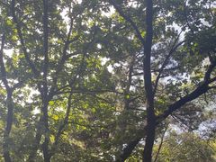 -沈阳辉山风景区