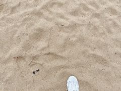 -海云台海滩
