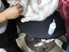 -PETKIT小佩宠物·低压洗护(国顺东路店)