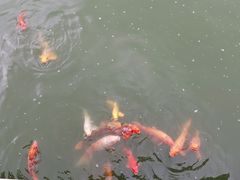 -春晖园度假酒店温泉