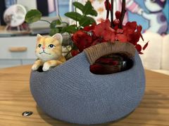 -哆趣宠物医院·眼科·内镜·急重症转诊中心(上海店)