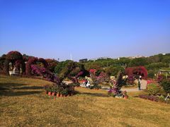 -东莞植物园