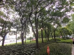 -北外滩滨江绿地